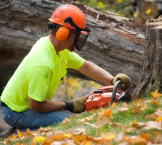 tree services Fayetteville